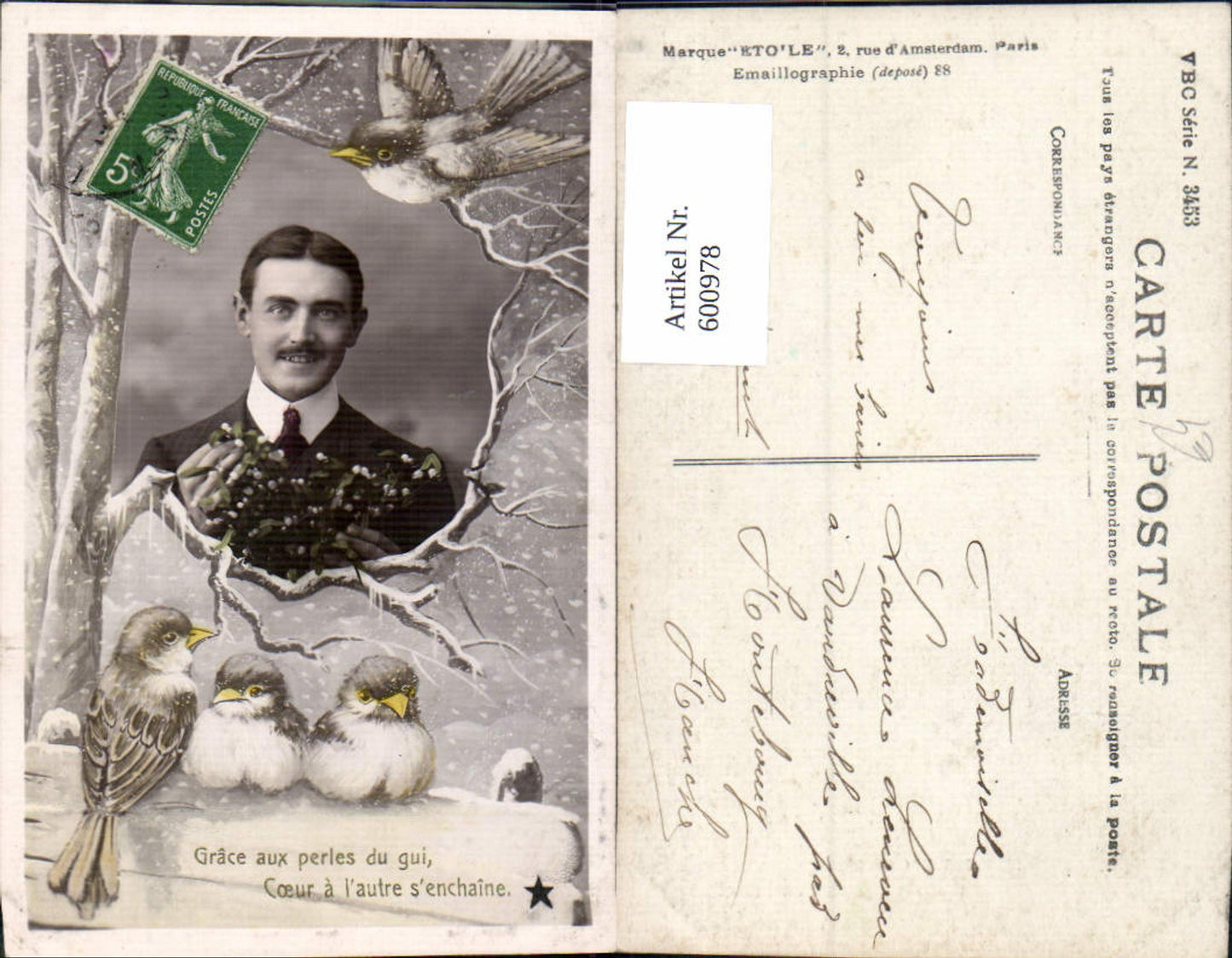 600978,Fotomontage Mann Portrait Vögel Misteln Winter