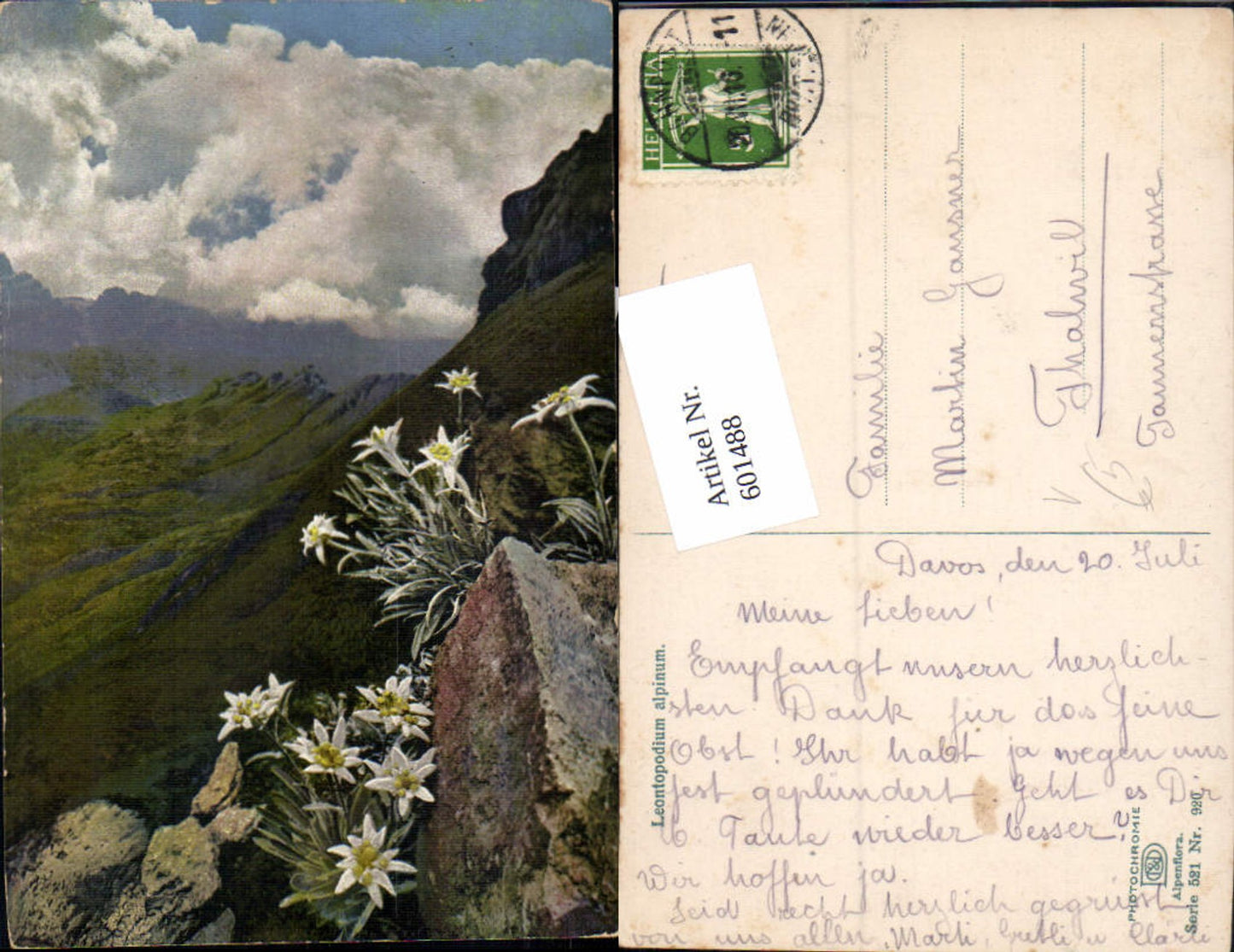 601488,Photochromie Nenke & Ostermaier 521-920 Alpenflora Edelweiss
