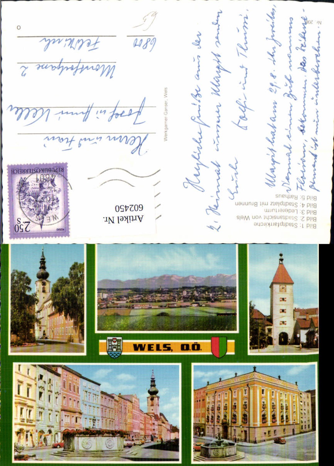 602450,Mehrbild Ak Wels Stadtpfarrkirche Ledererturm Rathaus