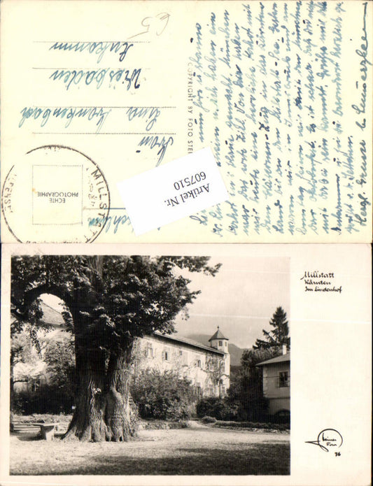 607510,Millstatt am Millstättersee 1000 jährige Linde Baum