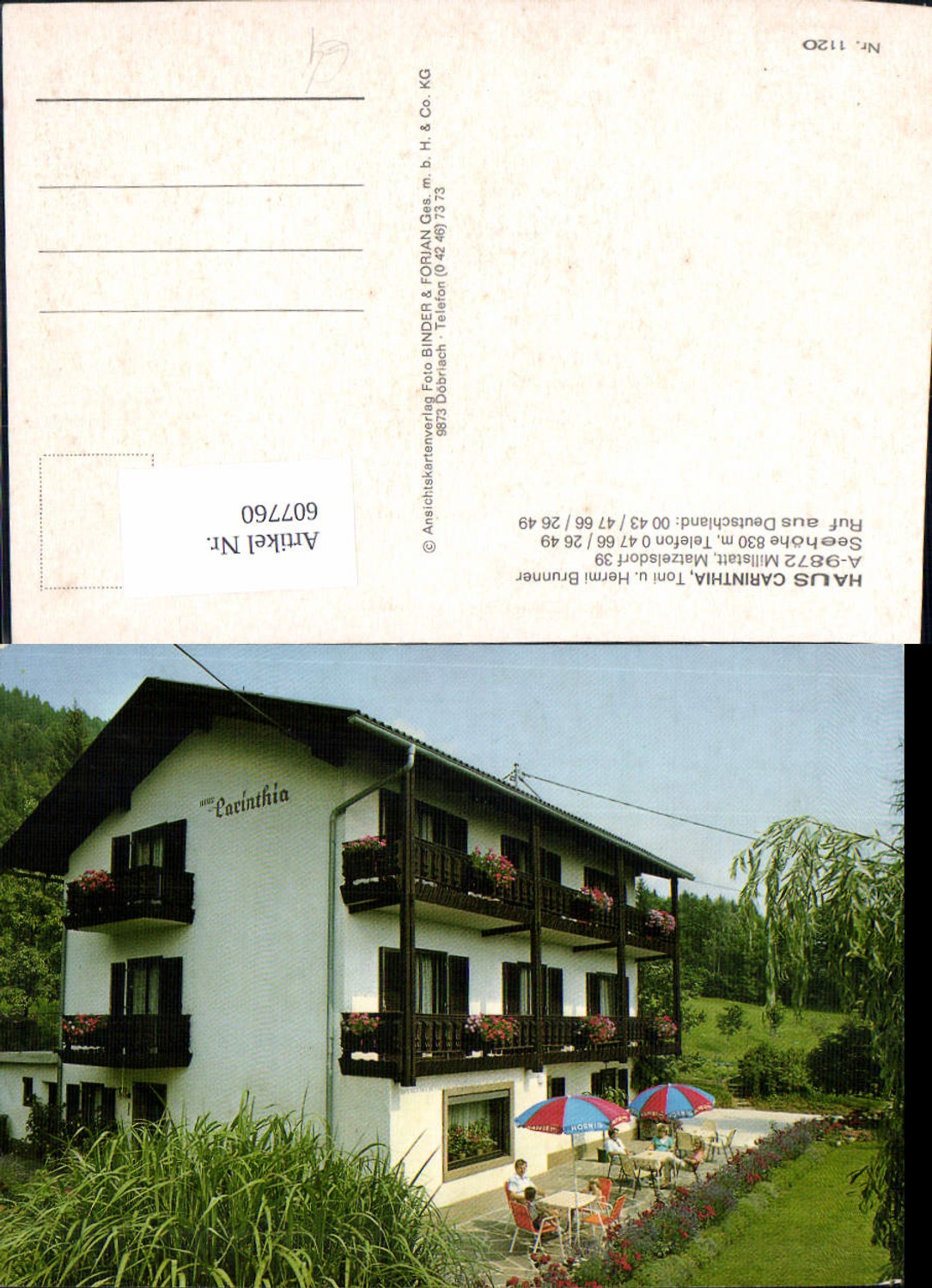 607760,Millstatt Haus Carinthia