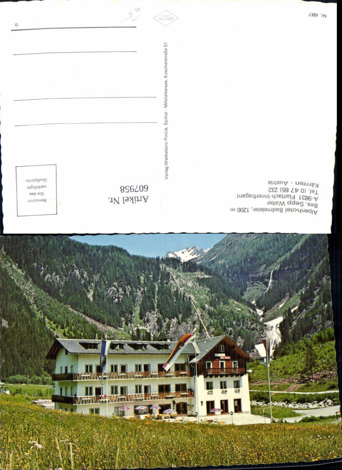607958,Flattach Innerfragant Alpenhotel Badmeister