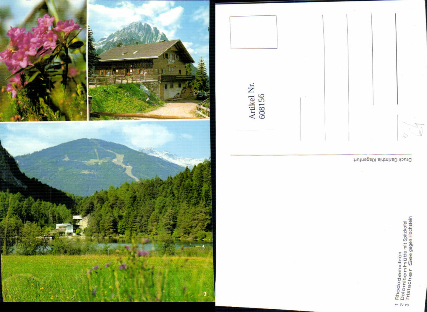 608156, Multi-image Ak Tristach Dolomitenhütte with Spitzkofel Tristacher See opposite Hochstein Rhododendron