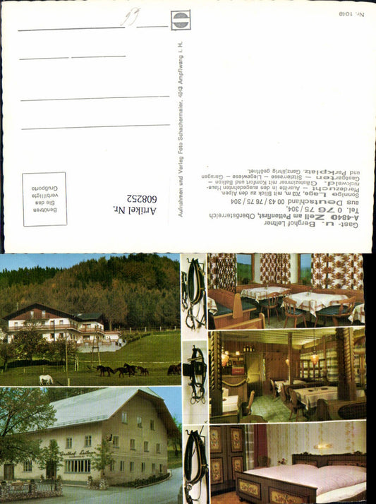 608252,Mehrbild Ak Zell a. Pettenfirst Gasthof Berghof Leitner Pferde Reiten