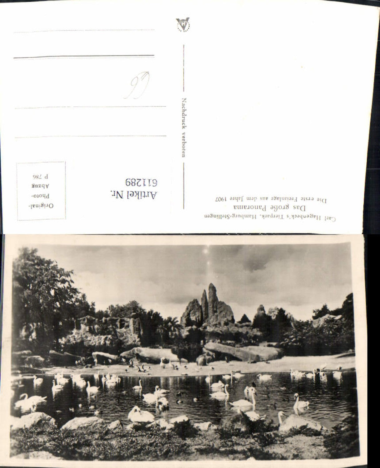 611289,Foto Ak Hamburg Carl Hagenbecks Tierpark Hamburg Stellingen Panorama Schwan Schwäne