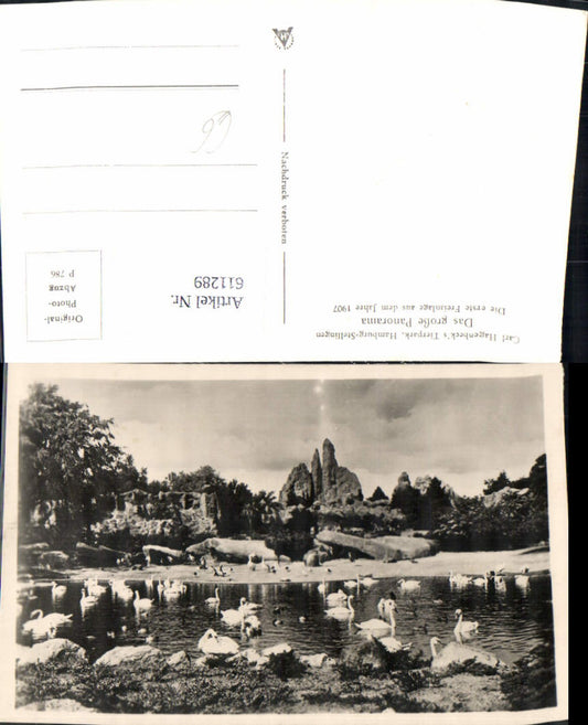 611289,Foto Ak Hamburg Carl Hagenbecks Tierpark Hamburg Stellingen Panorama Schwan Schwäne