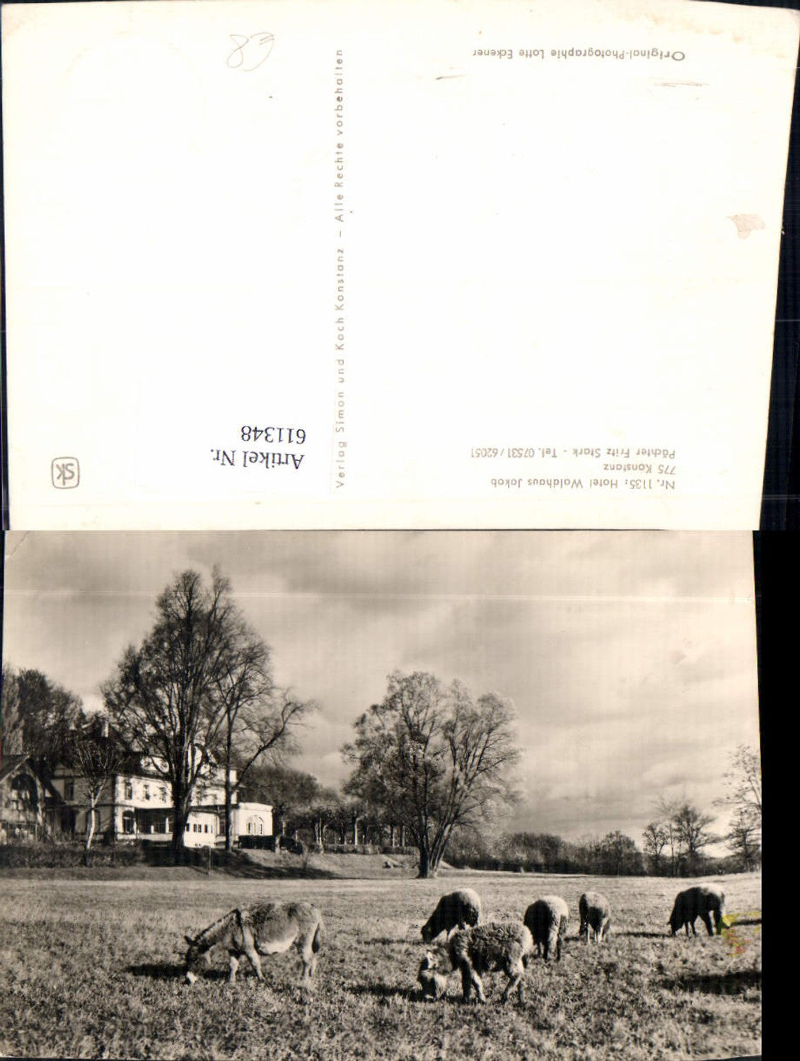 611348,Foto Ak Konstanz a. Bodensee Hotel Waldhaus Jakob Esel Schafe Tiere