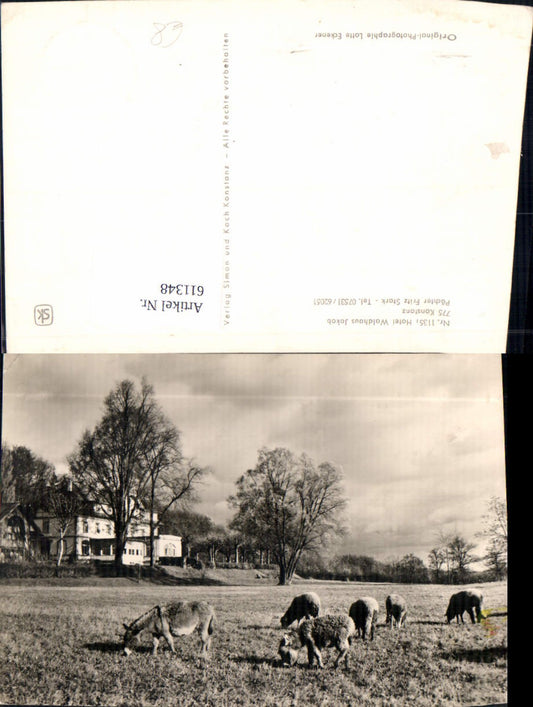 611348, Photo Ak Konstanz on Lake Constance Hotel Waldhaus Jakob Donkey Sheep Animals