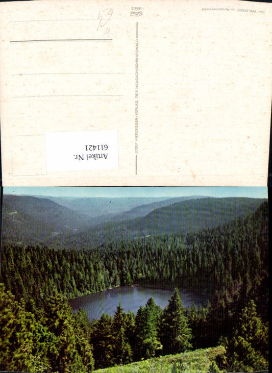 611421, Wildsee in the Northern Black Forest, Baiersbronn