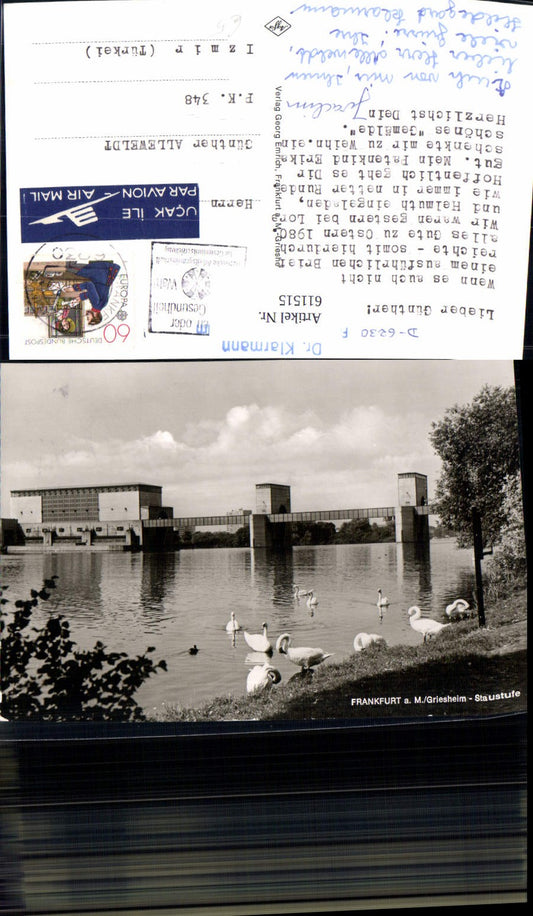 611515,Foto Ak Frankfurt a. Main Griesheim Staustufe Schwan Schwäne