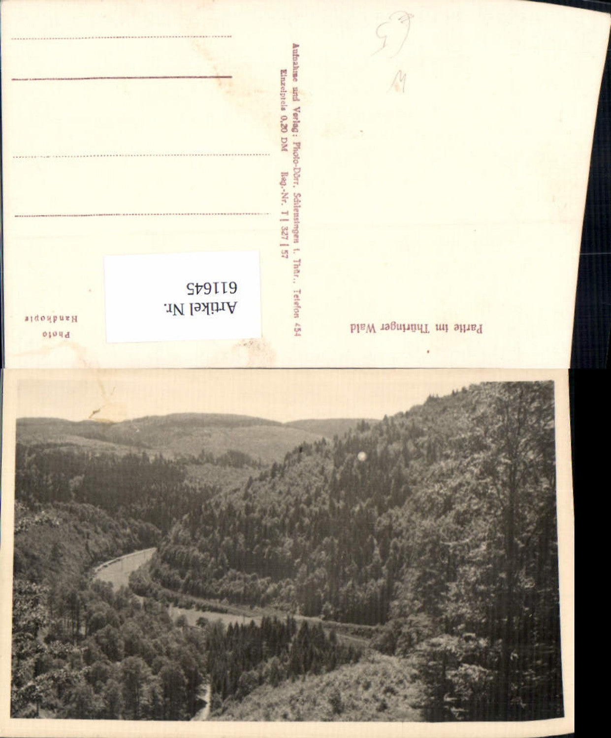 611645, Photo Ak Partie i. Thüringer Wald b. Schleusingen