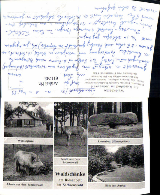 611745,Mehrbild Ak Rosengarten Ehestorf Waldschänke a. Riesenbett Sachsenwald