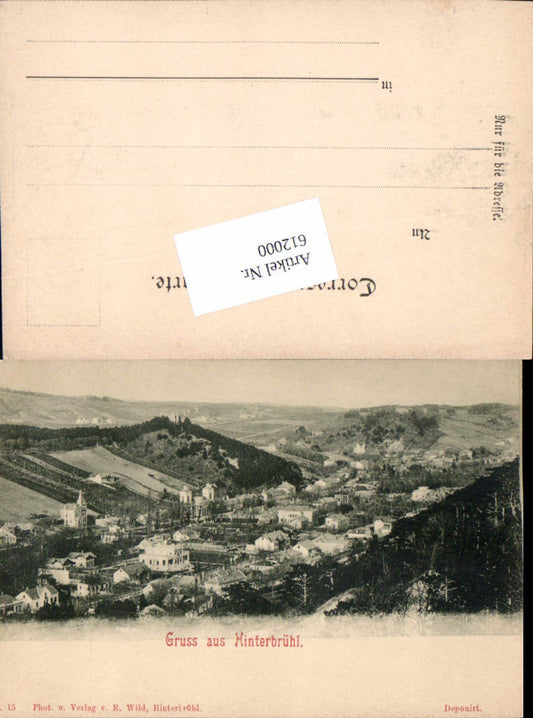 612000,tolle AK Gruß aus Hinterbrühl bei Mödling pub R. Wild 15