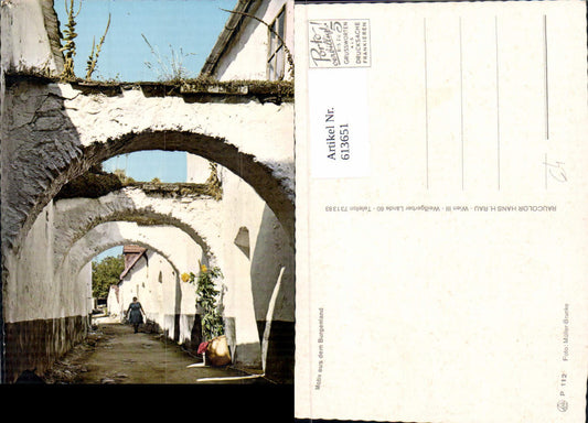 613651,Motiv a. d. Burgenland Gasse Frau Illmitz Umgebung