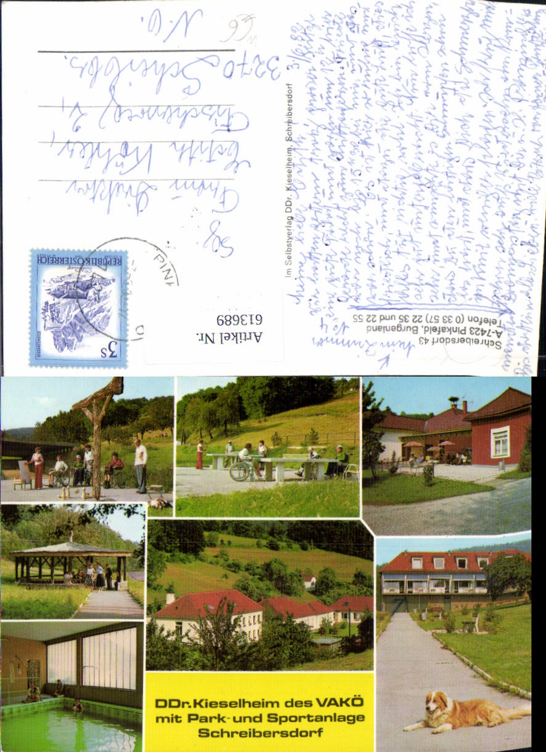 613689,Mehrbild Ak Pinkafeld Schreibersdorf Wiesfleck DDr. Kieselheim VAKÖ Hund Hallenbad