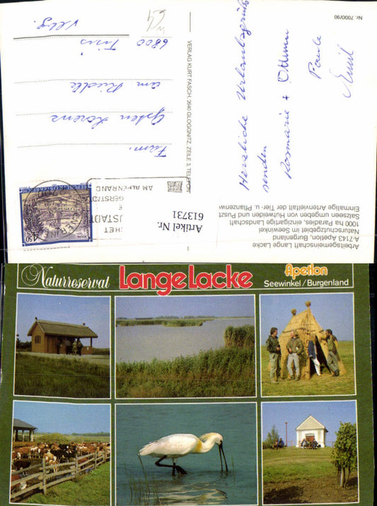 613731,Mehrbild Ak Apetlon Lange Lacke Seewinkel Kühe Rinder Naturreservat