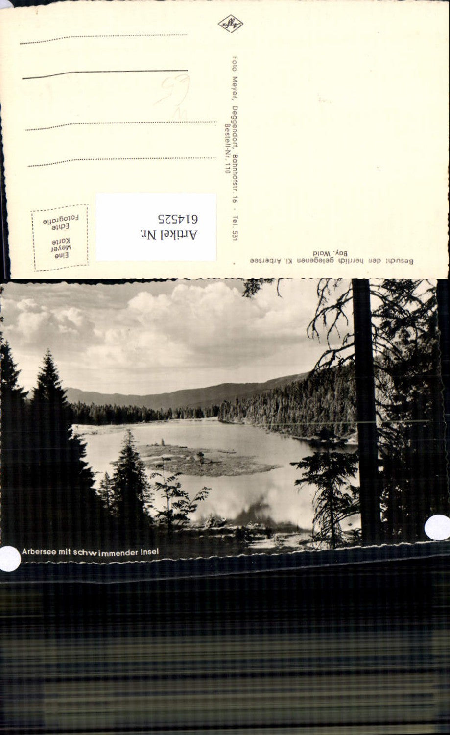 614525, Lohberg Kl. Arbersee with floating island