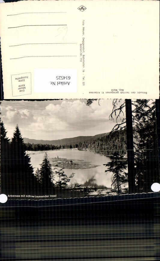 614525, Lohberg Kl. Arbersee with floating island