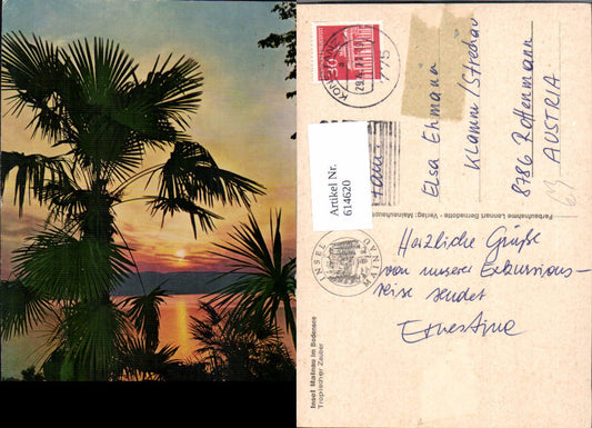 614620, Mainau Island in Lake Constance Tropical Magic Palm Trees Constance
