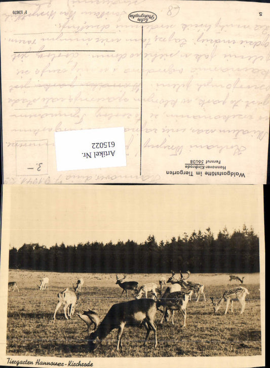 615022,Hannover Kirchrode Wild Rehe Tiere Tiergarten
