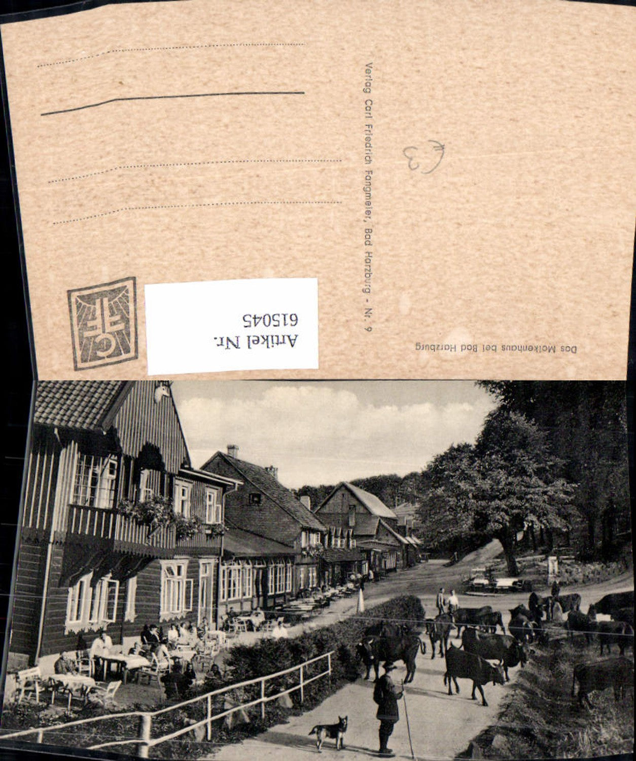 615045,Bad Harzburg Molkenhaus Rinder Kühe Hirte