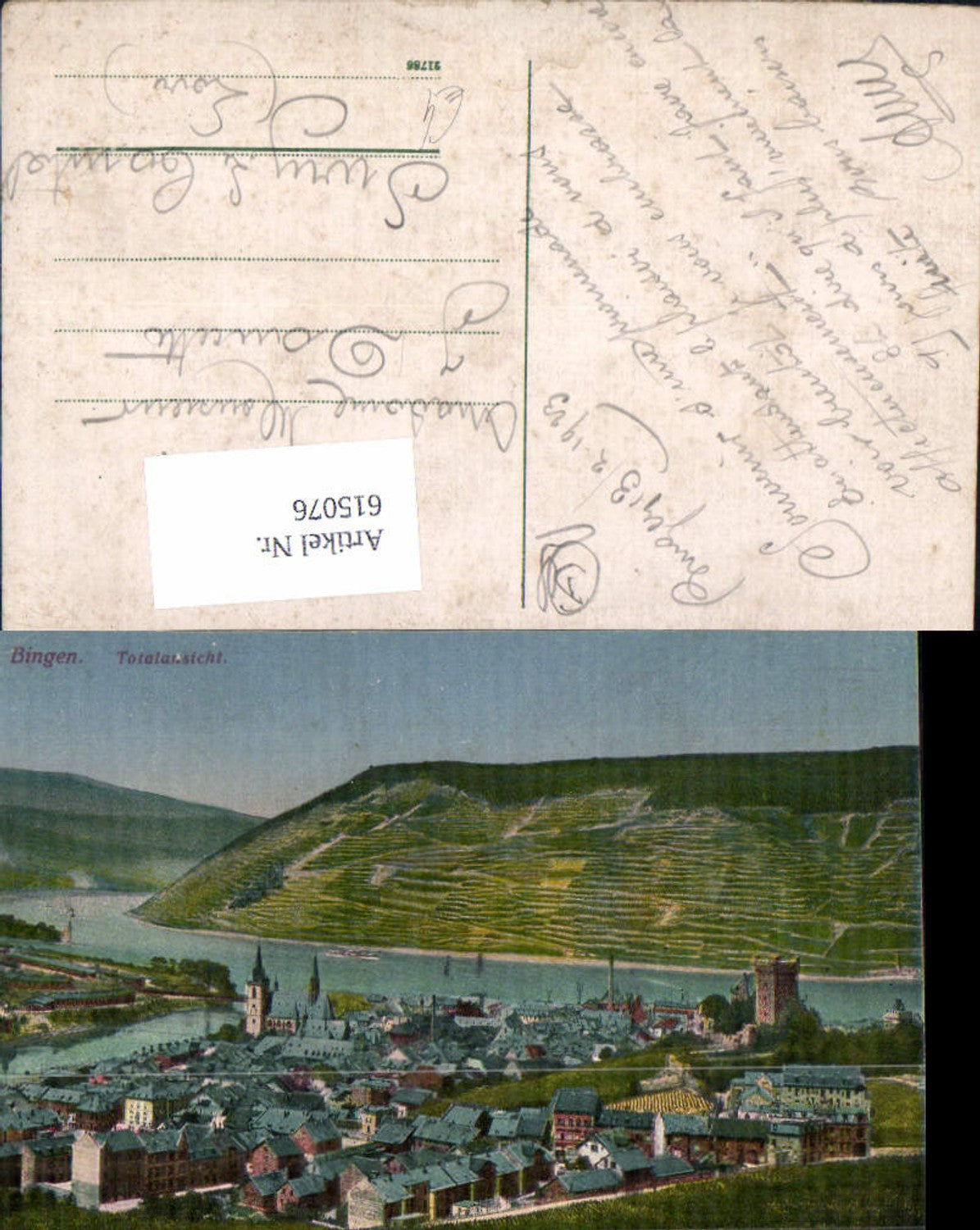 615076,Bingen a. Rhein Totalansicht