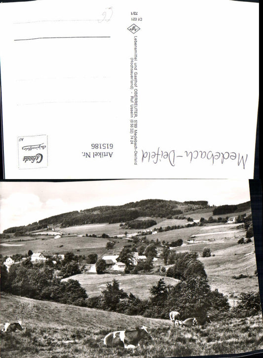 615186,Foto Ak Deifeld Medebach Ansicht m. Kühe Rinder