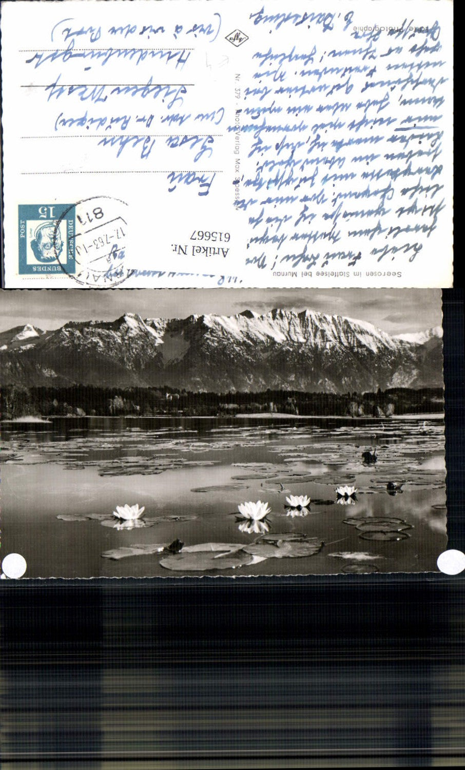 615667,Foto Ak Seerosen i. Staffelsee b. Murnau am Staffelsee