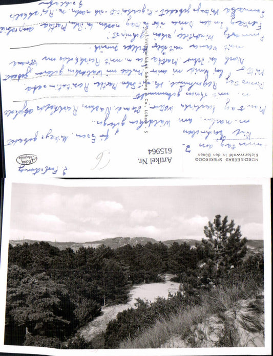 615964,Foto Ak Nordseebad Spierkeroog Kiefernwald i. d. Dünen