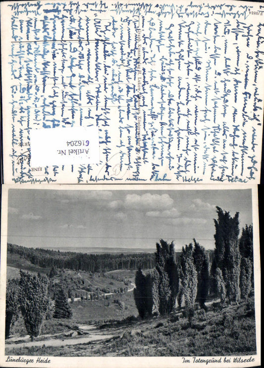 616204,Lüneburger Heide Im Totengrund b. Wilsede Bispingen
