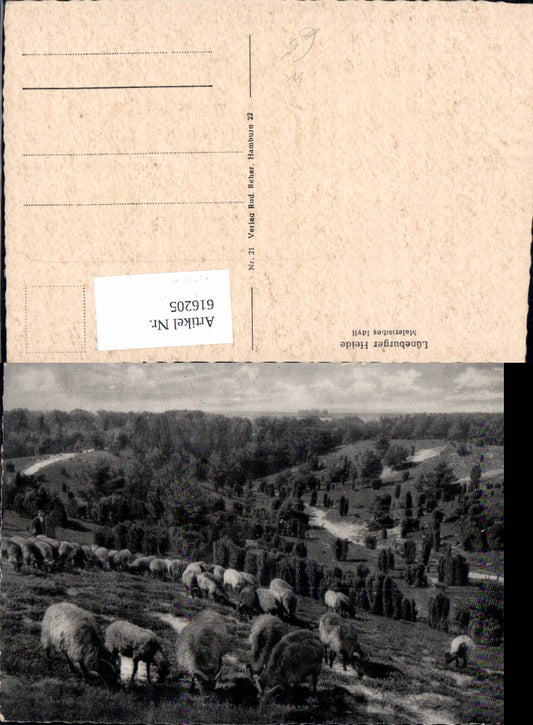 616205,Lüneburger Heide Malerisches Idyll Schafe Schafherde b. Lüneburg