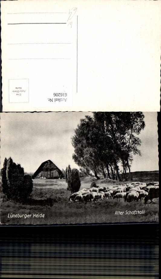 616206,Foto Ak Lüneburger Heide Alter Schafstall Schafe Schafeherde b. Lüneburg