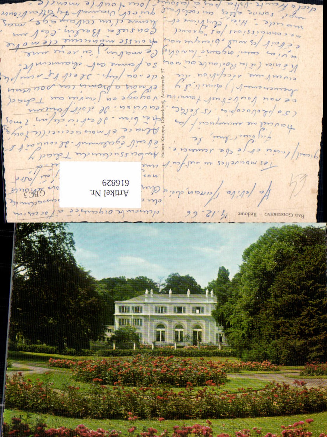 616829,Bonn Bad Godesberg Redoute Rosen Blumen