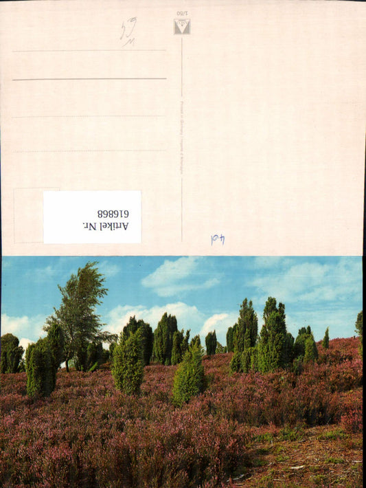 616868,Lüneburger Heide Lüneburg Landschaft