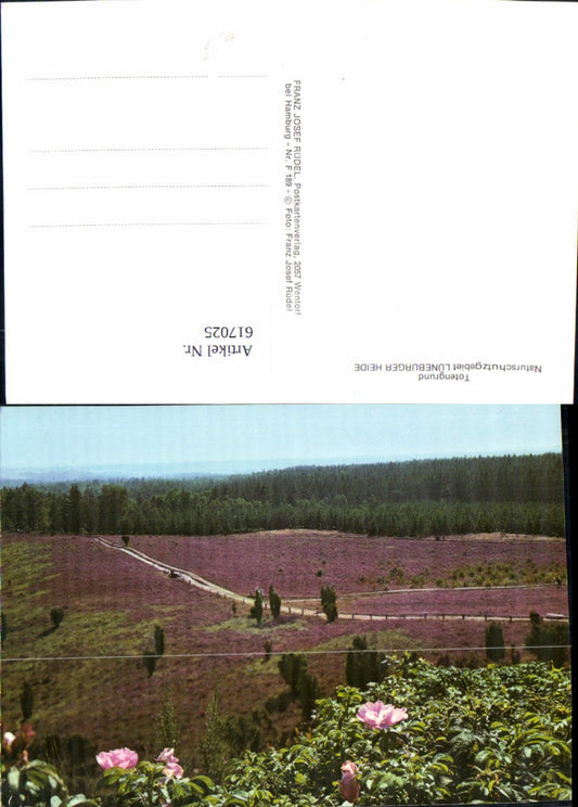 617025,Totengrund Lüneburger Heide Bispingen