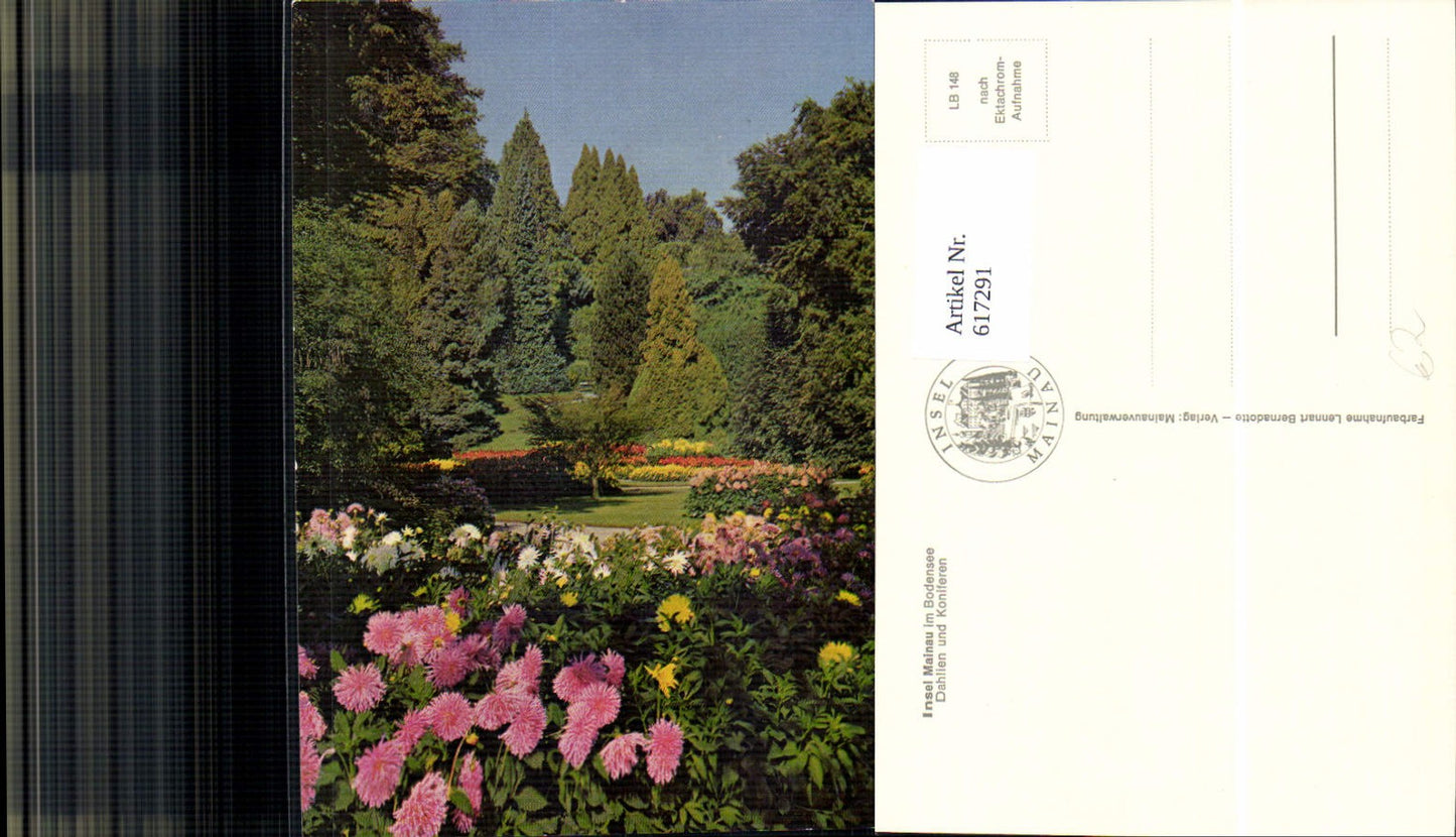 617291,Insel Mainau Konstanz Bodensee Dahlien u. Koniferen Blumen Bäume