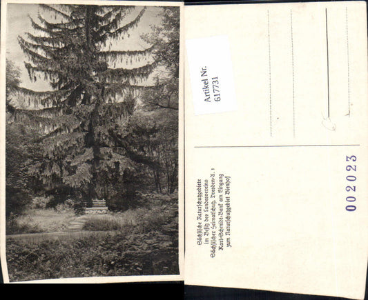 617731,Karl-Schmidt-Bank Eingang Naturschutzgebiet Bienhof Bad Gottleuba-Berggießhübel