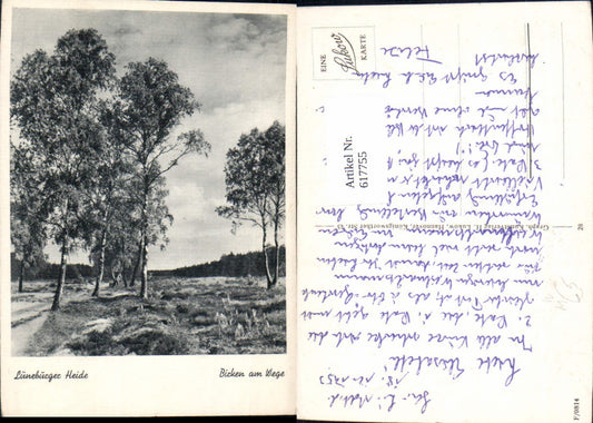 617755,Lüneburger Heide Birken a. Wege Lüneburg