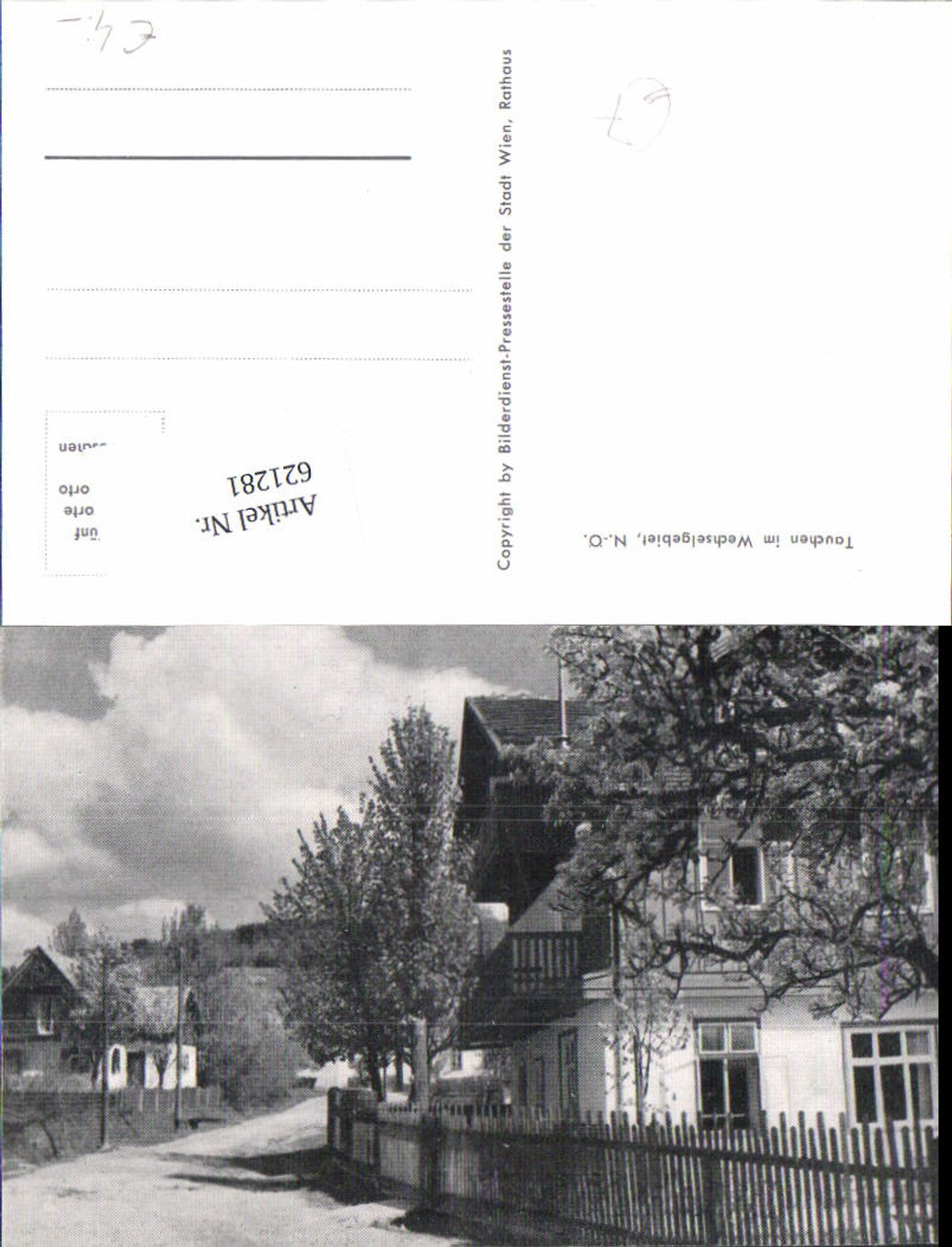 621281,Tauchen bei Mönichkirchen am Wechsel