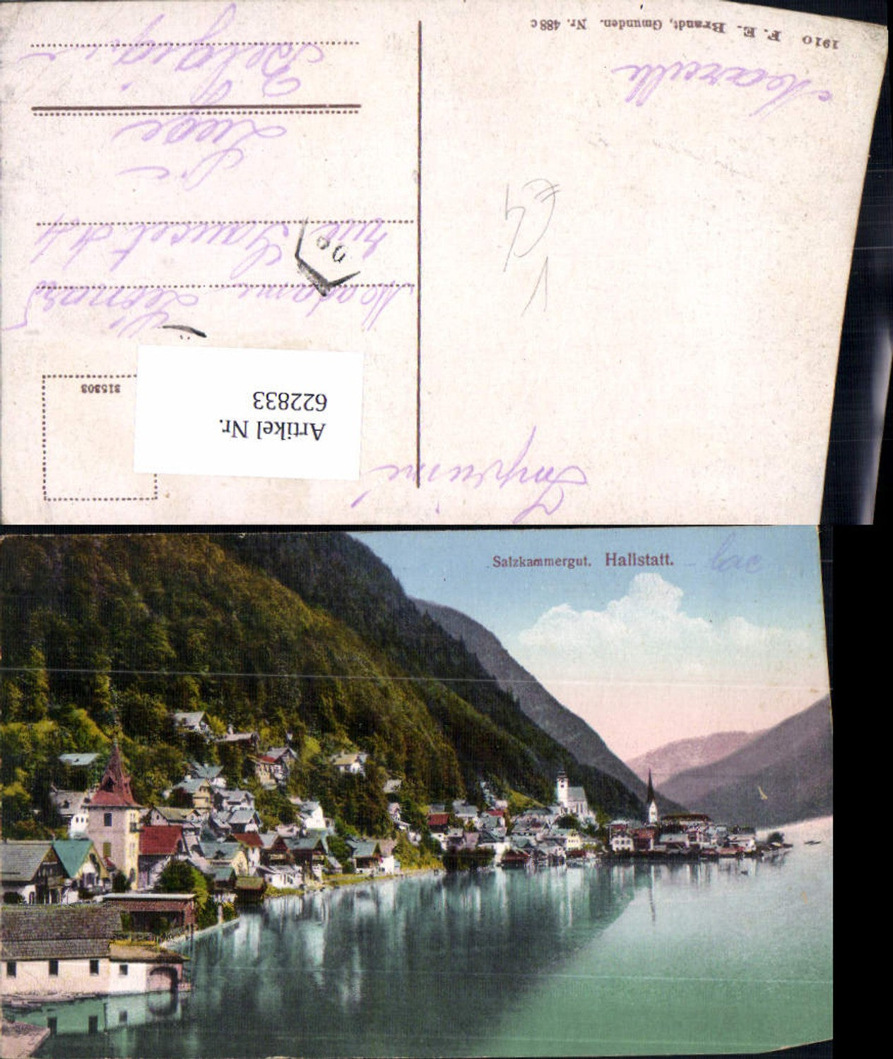 622833,Hallstatt Salzkammergut pub F. E. Brandt 488c