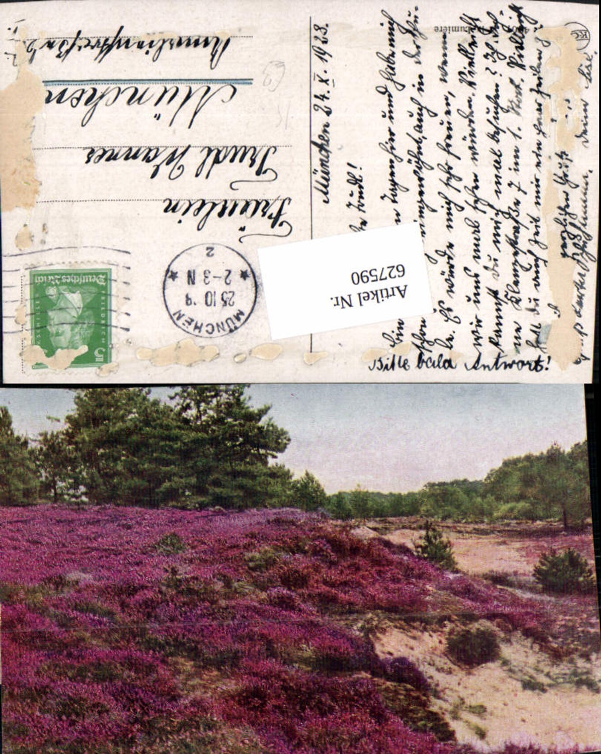 627590,Künstler Ak Heidelandschaft Lüneburger Heide Heidekraut