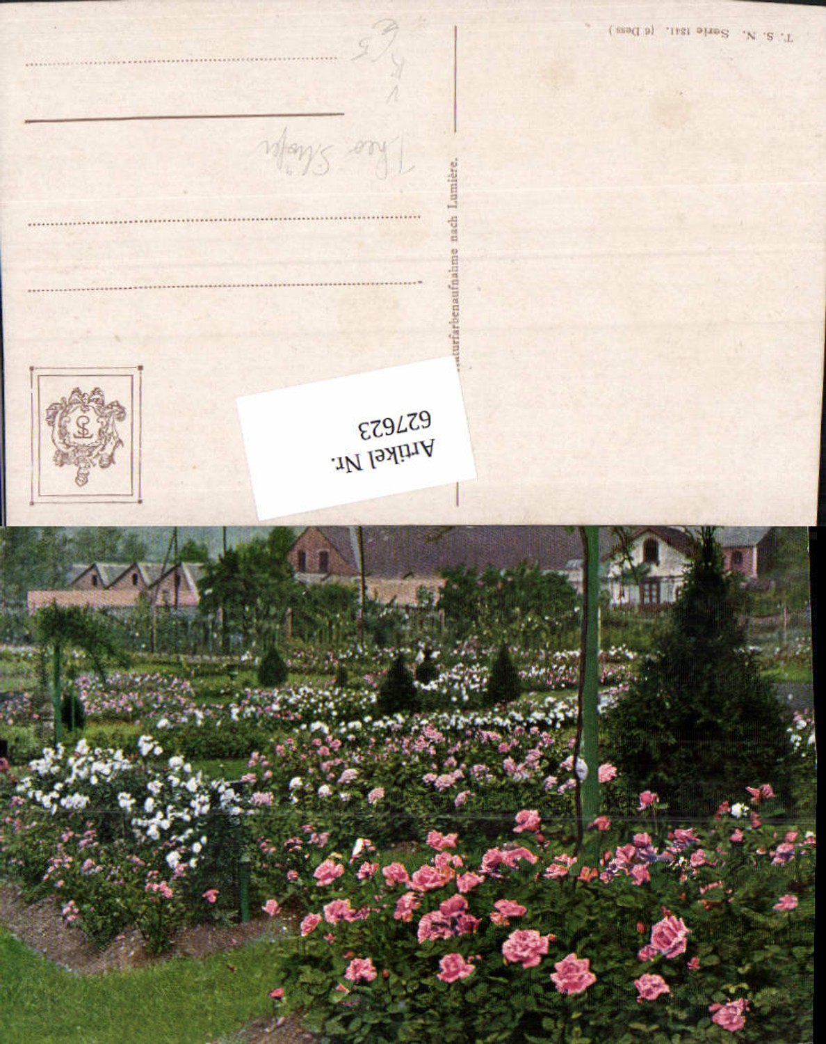 627623,Künstler Ak Garten Rosen Blumen Park pub Theo Stroefer 1341