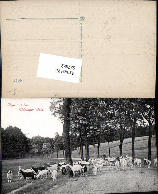 627882, Idyll in the Thuringian Forest, goats, shepherd, avenue, trees, Eisenach, Ilmenau