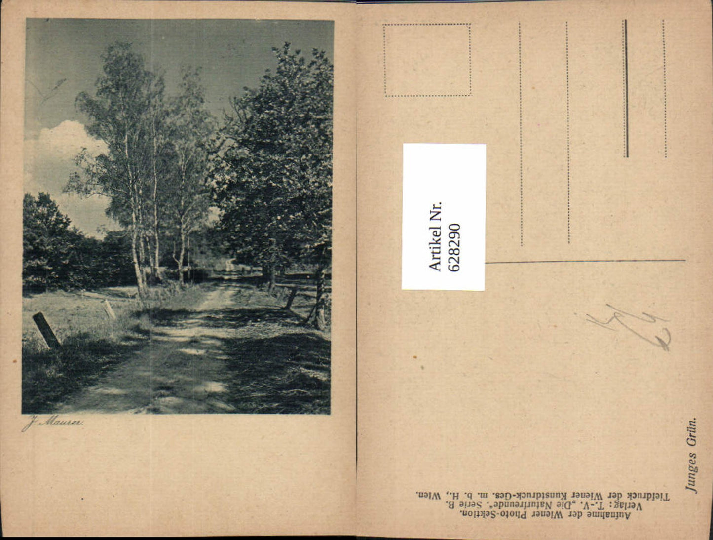 628290,Künstler Ak J. Maurer Junges Grün Birken Bäume Allee Landschaft