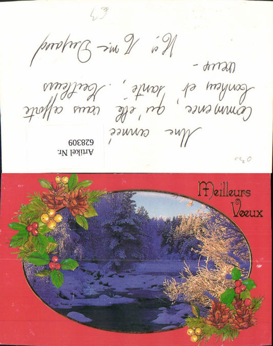 628309,Meilleurs Voeux Winterlandschaft Stechpalmenzweig Zapfen Passepartout Beste Wünsche