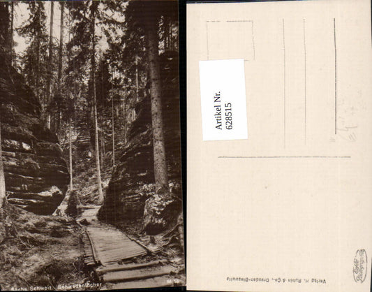 628515,Foto Ak Hohnstein Sächsische Schweiz Schwedenlöcher Wald