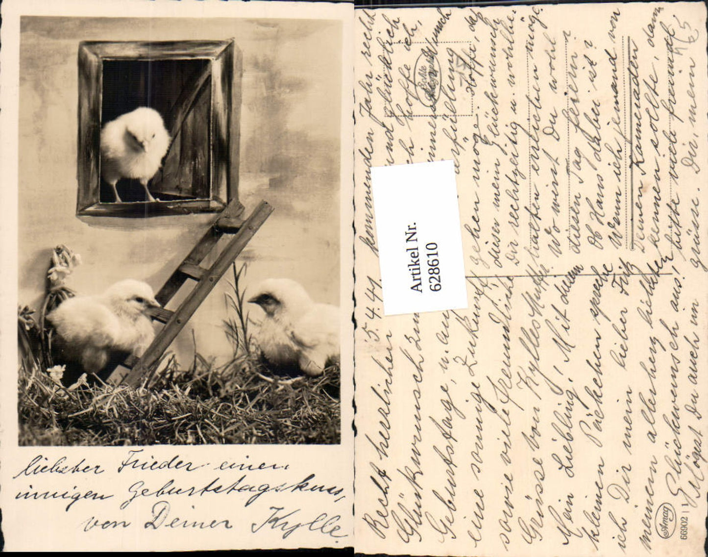 628610,Foto Ak Küken m. Leiter Fenster Ostern