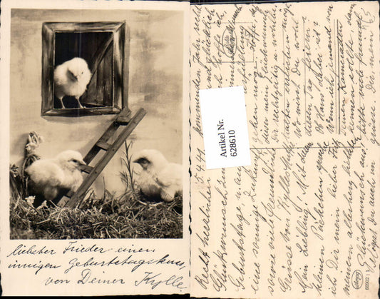 628610,Foto Ak Küken m. Leiter Fenster Ostern