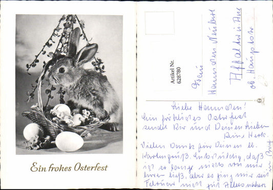 628780, Easter Bunny Basket with Eggs and Flowering Branch
