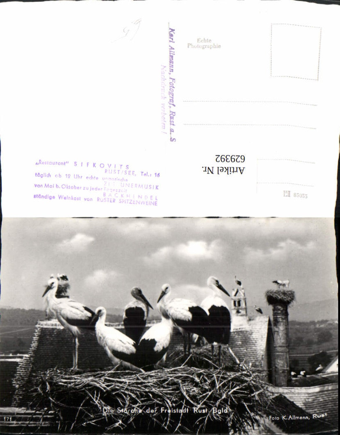 629392,Foto Ak Die Störche der Freistadt Rust Storch